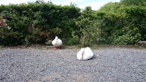 0531説教されました。 (1)