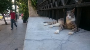 0720成功を捨て去る勇気。2