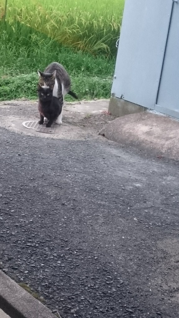 0825うんこ製造生命体と思考の現実化について
