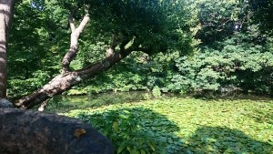 1005人口減少と空き家激増と不動産投資に関する論文 第２回（全５回）2