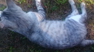 1101人口減少と空き家激増と不動産投資に関する論文 第５回（全５回） (2)