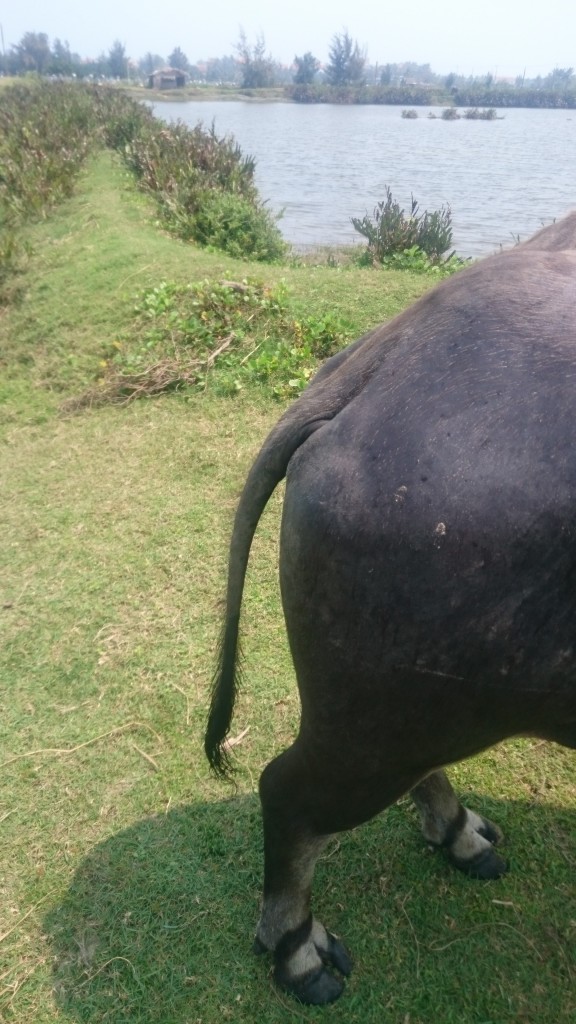 1117-%e3%81%8a%e9%87%91%e3%81%af%e4%b8%8d%e5%ae%89%e3%81%aa%e4%ba%ba%e3%81%8b%e3%82%89%e5%ae%89%e5%bf%83%e3%81%97%e3%81%a6%e3%81%84%e3%82%8b%e4%ba%ba%e3%81%b8%e6%b5%81%e3%82%8c%e3%82%8b3